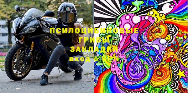 МДПВ Абдулино