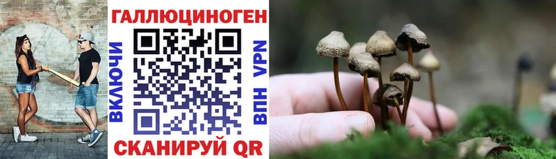 Псилоцибиновые грибы Cubensis  Новое Девяткино 
